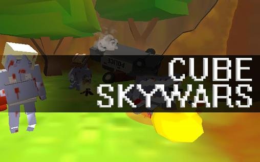 game pic for Cube skywars